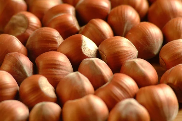 Textura alimentar das avelãs . — Fotografia de Stock