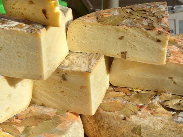 Υφή των αρωματισμένων τυρί βότανα. — Φωτογραφία Αρχείου