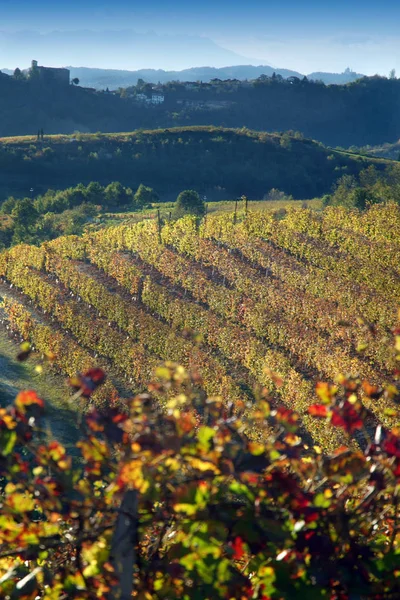 Zobrazit na vinicích Langhe Roero Monferrato, seznam světového dědictví Unesco v regionu Piemont, Itálie. — Stock fotografie