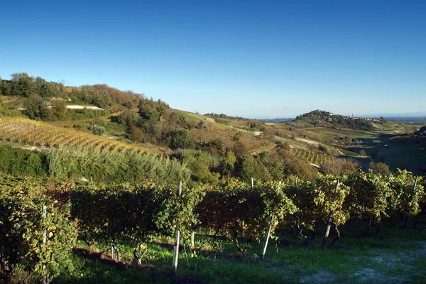 Vista de los viñedos de Langhe Roero Monferrato, Patrimonio de la Humanidad por la UNESCO en Piamonte, Italia . —  Fotos de Stock