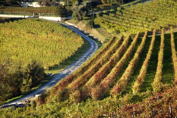View on vineyards of Langhe Roero Monferrato, UNESCO World Heritage in Piedmont, Italy.