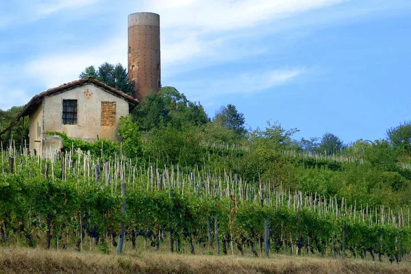 Δες στο αμπελώνες του Langhe Roero, μνημείο παγκόσμιας πολιτιστικής κληρονομιάς στο Πιεμόντε, Italy. — Φωτογραφία Αρχείου