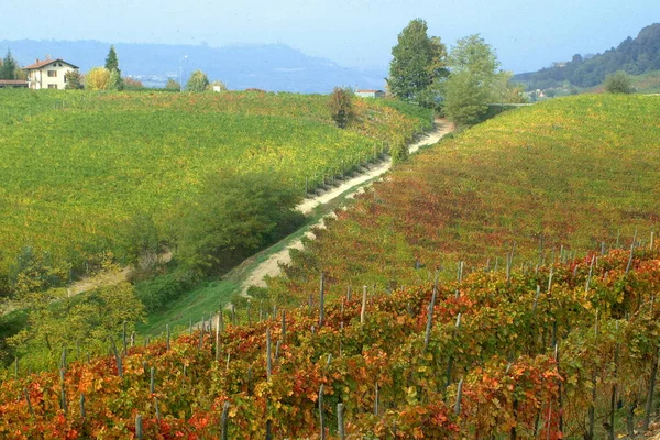 View on vineyards of Langhe Roero, UNESCO World Heritage in Piedmont, Italy.