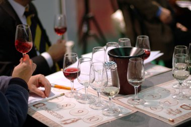 Torino, Piedmont/İtalya. -24/10/2009- Wineshow. Şarapları tatmak