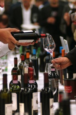 Torino, Piedmont/İtalya. -24/10/2009- Wineshow. Şarapları tatmak