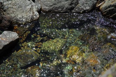 Aosta Vadisi, İtalya alp sel içinde akan temiz ve taze su.