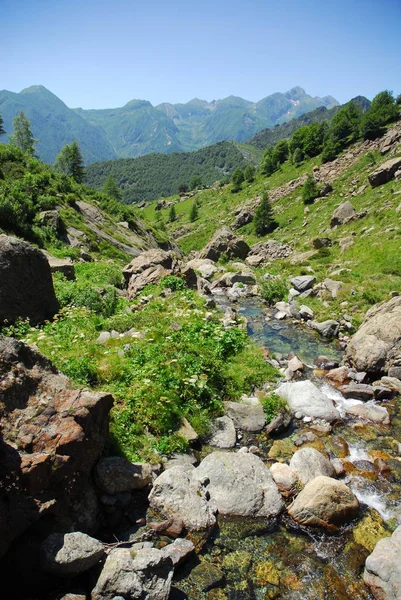 Heldere en vers water stroomt in de alpiene bergstromen van Valle d'Aosta, Italië. — Stockfoto