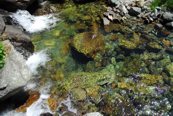 Águas límpidas e doces que correm em torrentes alpinas do vale de Aosta, Itália . — Fotografia de Stock