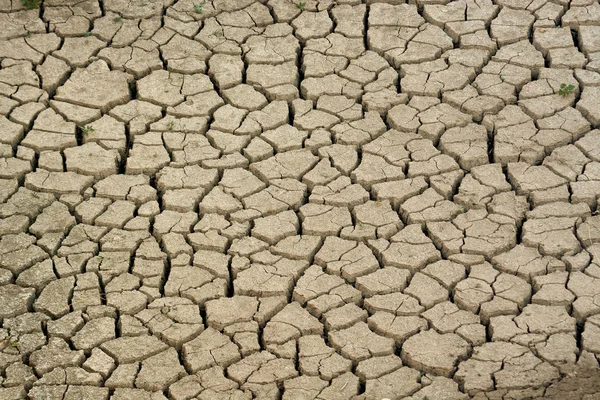 Grietas en suelo seco — Foto de Stock