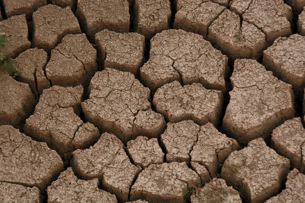 乾燥土壌に亀裂 — ストック写真