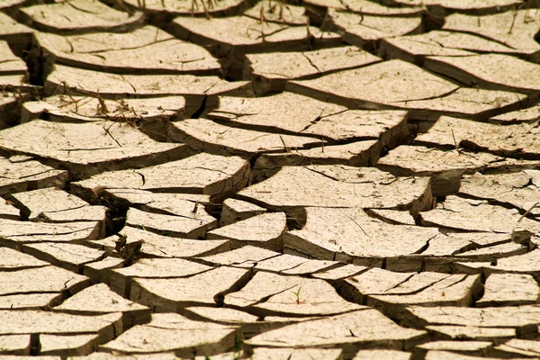 Grietas en suelo seco — Foto de Stock