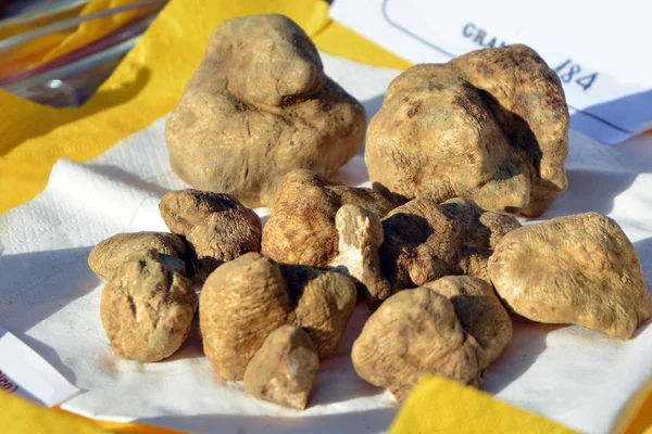 Group of white truffles.