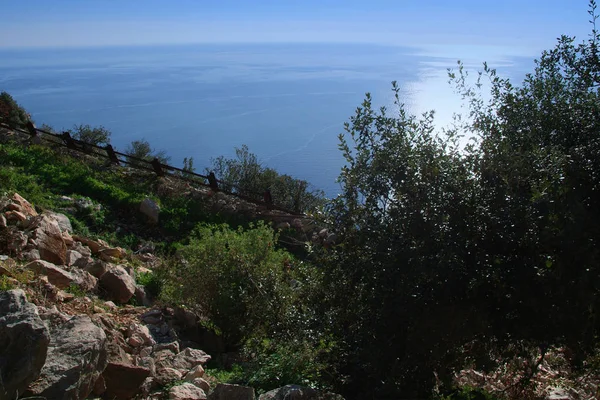 Top view of the coast of Monte Carlo in Principality of Monaco. — Stock Photo, Image