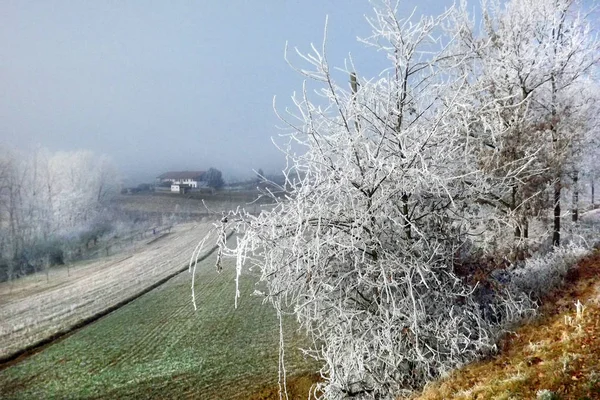 Paesaggio ghiacciato in Piemonte, durante l'inverno — Foto Stock