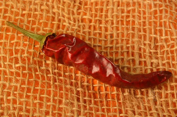 Pimienta roja picante aislada . — Foto de Stock