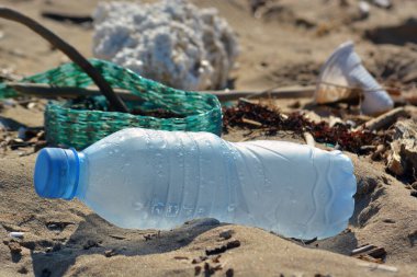 Plastik şişe kirliliği kumlu bir sahilde.