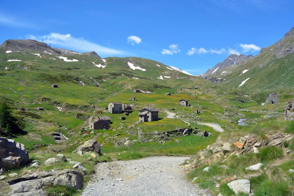 Die Alpine Landschaft Mit Bergen Wiesen Und Blumen Dondena Aostatal — Stockfoto