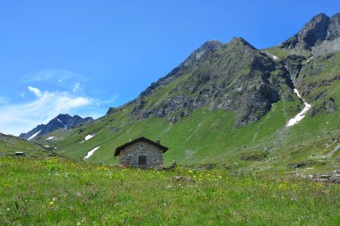 İtalya 'nın Avic Dağı' nın doğal rezervindeki Dondena, Aosta Vadisi 'ndeki dağların, çayırların ve çiçeklerin manzarası..