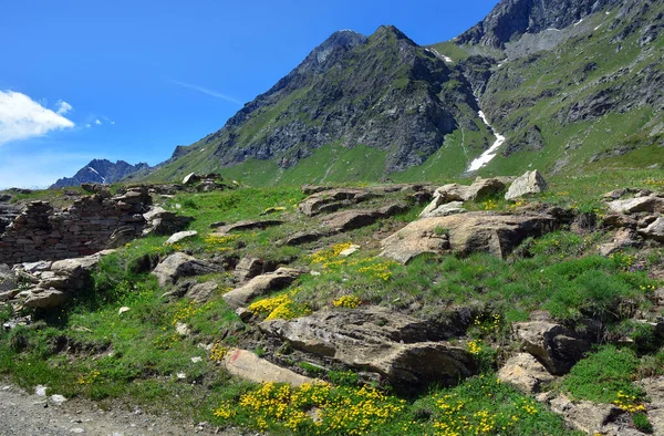 Talya Nın Avic Dağı Nın Doğal Rezervindeki Dondena Aosta Vadisi — Stok fotoğraf