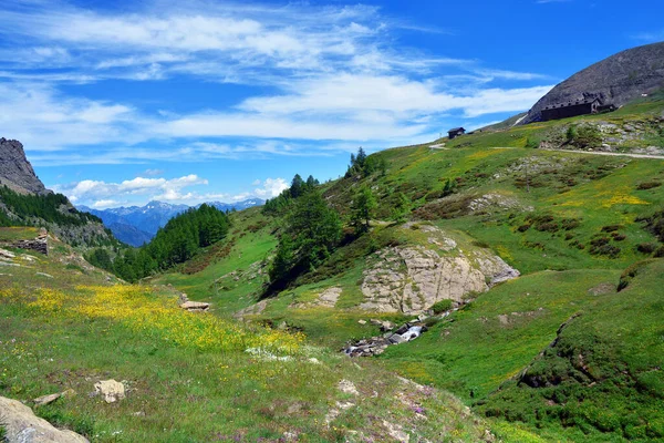 Alpine Scenic Landscapes Mountains Meadows Flowers Dondena Aosta Valley Italy — Stock Photo, Image