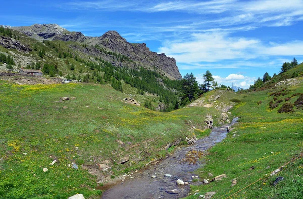 Die Alpine Landschaft Mit Bergen Wiesen Und Blumen Dondena Aostatal — Stockfoto