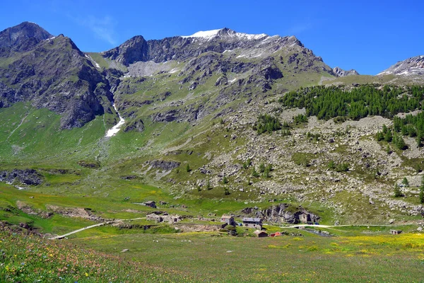 Die Alpine Landschaft Mit Bergen Wiesen Und Blumen Dondena Aostatal — Stockfoto