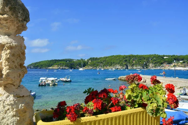 Tremiti Puglia Itália 2020 Vista Das Ilhas Tremiti Pequenas Ilhas — Fotografia de Stock