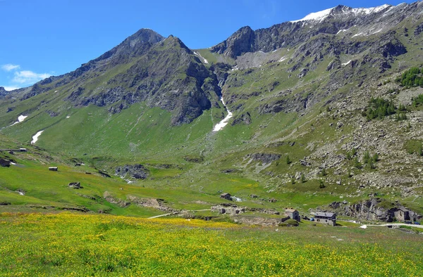 Die Alpine Landschaft Mit Bergen Wiesen Und Blumen Dondena Aostatal — Stockfoto