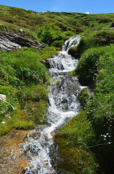 Alpesi Festői Tájak Hegyek Rétek Vízesések Virágok Dondena Aosta Valley — Stock Fotó