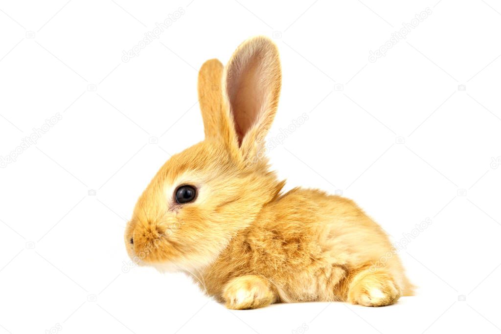 shutterstock_evgeniy@mail.ru