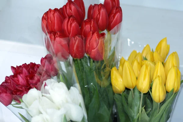 Piękne, kolorowe bukiety. Różnych świeże tulipany w kwiaciarni. Sklep hurtowy lub detaliczny kwiat. Kwiaciarnia agencji. Uprawy i uprawy kwiatów — Zdjęcie stockowe