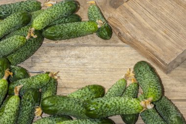 Ahşap bir masa üzerinde yeşil salatalık arka plan. Organik gıda. Tarım perakendecisi. Çiftlik yemekleri. Kopyalama alanı