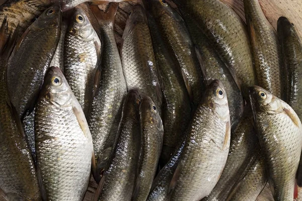 A pile of roach fish on a wooden table. Shop of the local seafood market. Fresh catch of fish. River fish ready for cooking close-up. Natural food ingredient from the river. River fish on the table