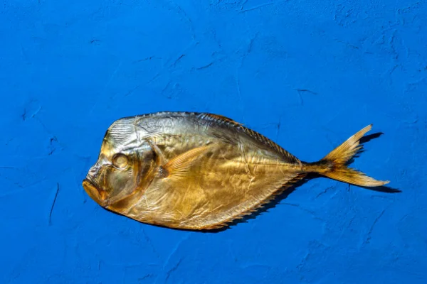 Vómito Peixe Oceânico Fumado Selena Fundo Azul Vista Superior — Fotografia de Stock