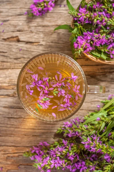 Fireweed Hierbas Saludable Taza Tradicional Ruso Ivan Bebida Sobre Fondo —  Fotos de Stock