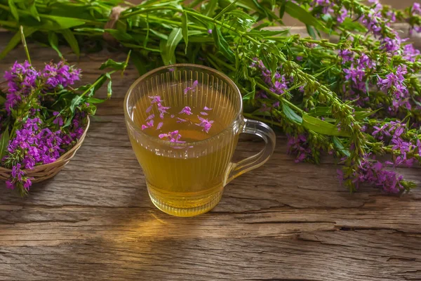 Fireweed Zdrowa Herbata Ziołowa Kubek Tradycyjnego Rosyjskiego Napoju Herbata Ivan — Zdjęcie stockowe