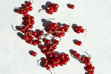 Sert gölgeli, kırmızı frenk üzümü sürüsü.