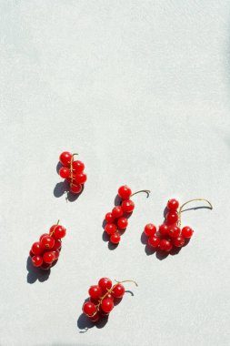 Sert gölgeli fotokopi alanı olan kırmızı üzümler..