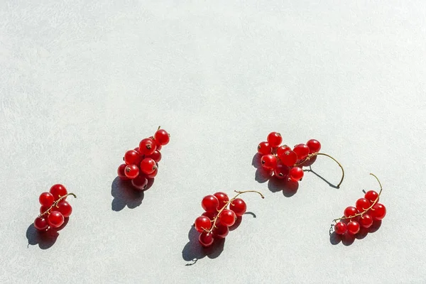 Sert gölgeli fotokopi alanı olan kırmızı üzümler..