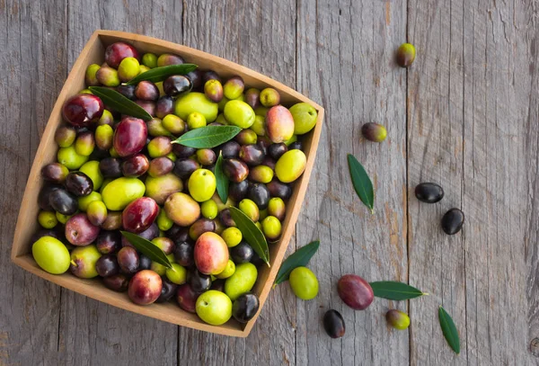 Fresh mixed olives of different colors