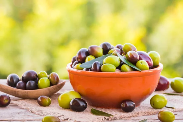 Olive Fresche Miste Diversi Colori — Foto Stock