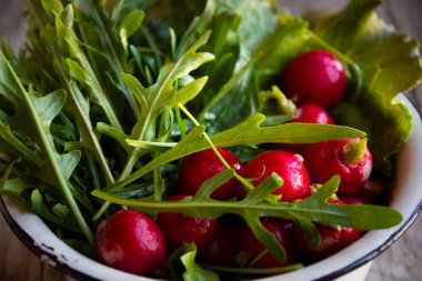 Sebze salatası, turp, roka ve marul malzemeleri.