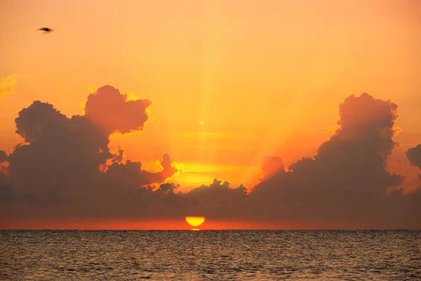 Hermoso Amanecer Atardecer Mar — Foto de Stock