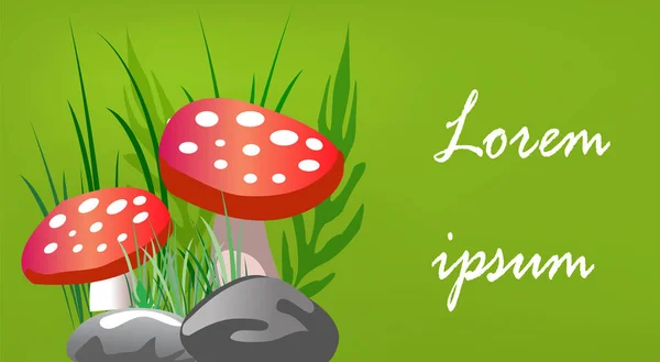 Amanita on a green background. Banner for the site. — Stock Vector