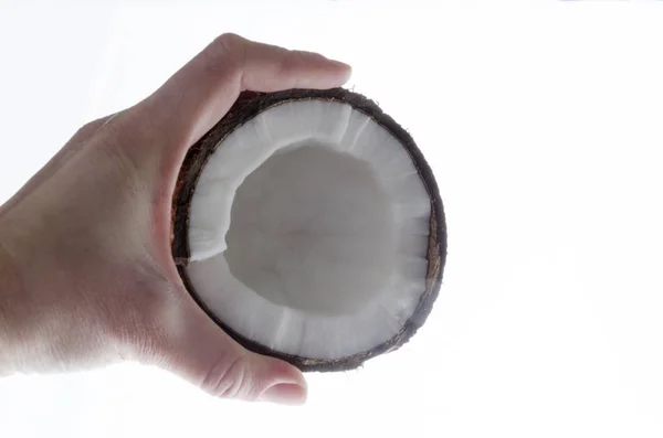 그것에 코코넛의 코코넛 — 스톡 사진