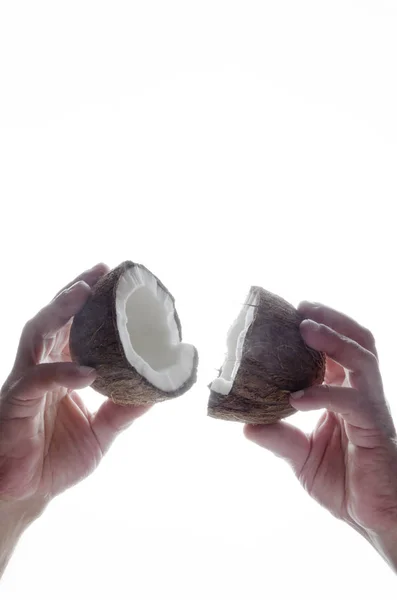 바탕에 Halfs 코코넛의 — 스톡 사진