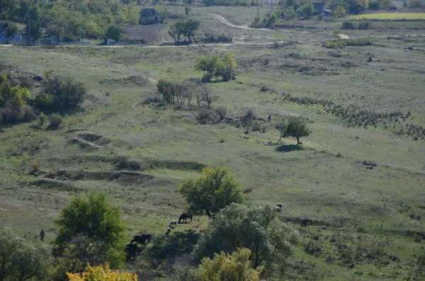 Otwarta Przestrzeń Lanscape Wieś Naturalne Odcienie Kolorów — Zdjęcie stockowe