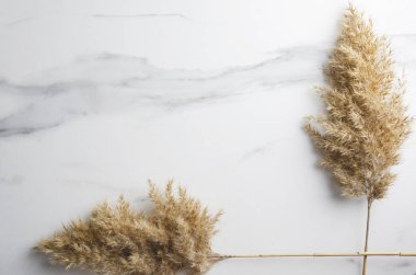 Sazlık sapları mermer yüzeyindeki, sazlık çerçeve yaptı. Doğal güzellik kavramı