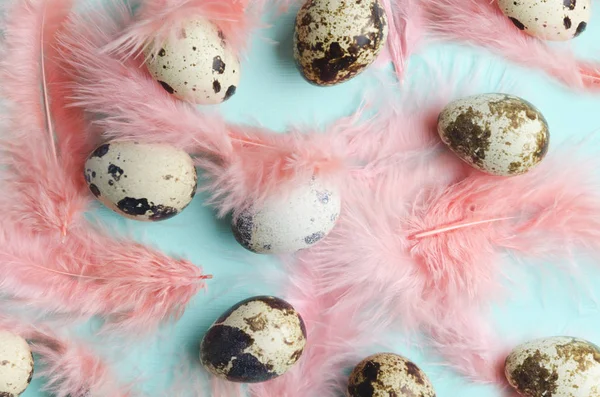 Closeup of modern colored feathers-living coral, little cute eggs.Concept of Easter celebration in trendy style