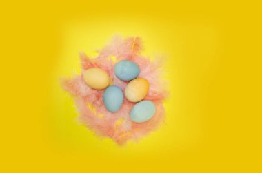 Üstten Görünüm yuvanın boyalı yumurta sarı arka plan üzerinde renkli tüyleri ile yapılan